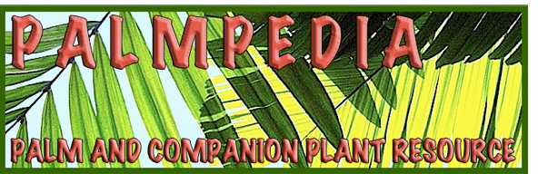 Palmpedia - Powered by vBulletin