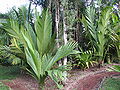 Thumbnail for version as of 19:24, 7 October 2014