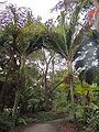 Thumbnail for version as of 21:01, 27 December 2014