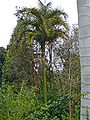 Thumbnail for version as of 17:10, 22 May 2015