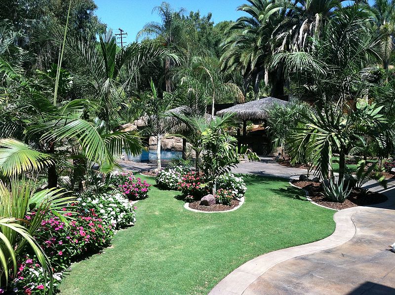 File:GotPalms.jpg
