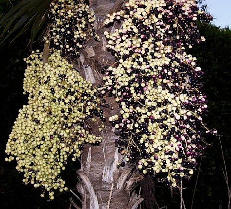 100 0732.jpg