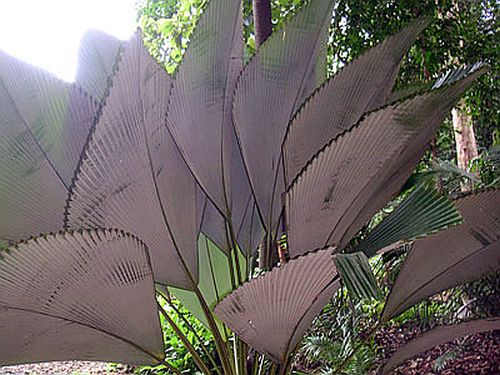 PICT3154.jpg