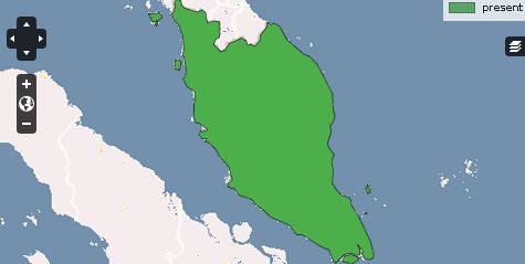 Sm786665678780098.JPG