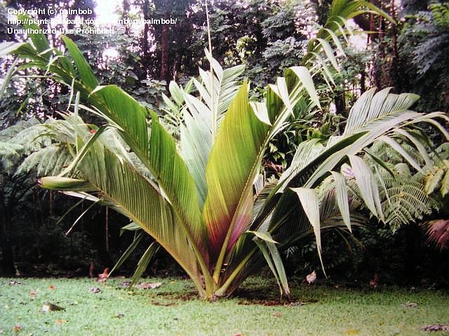 File:Mdfb43ac.jpg