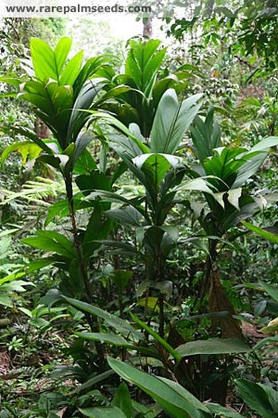 File:GeoCon.jpg