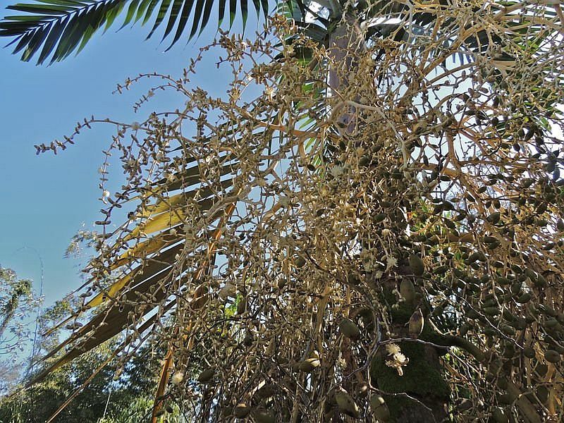 File:D7d18e.jpg