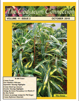 file=http://www.palmpedia.net/PDFs/OCT2010.pdf