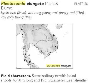 Pe0021546.JPG