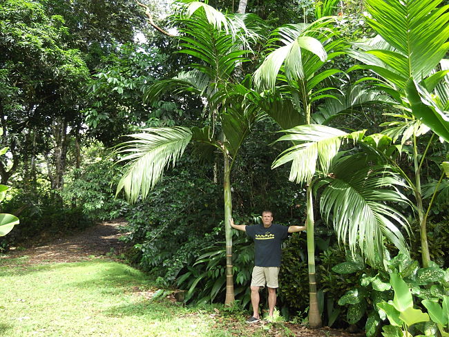 File:044 optNovember 2012.jpg