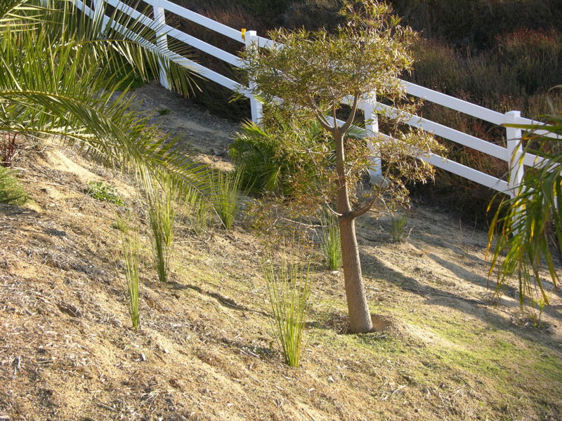 File:027mlc.JPG