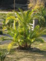 Thumbnail for version as of 14:52, 20 December 2009