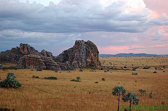 MadLandscape28.jpg