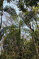 Thumbnail for version as of 09:50, 12 September 2012