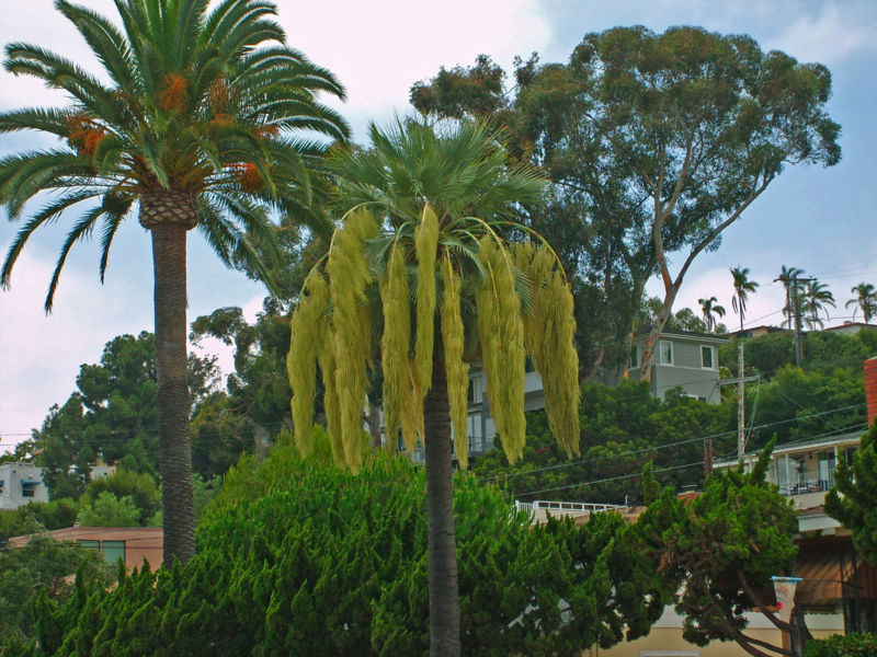 File:Workpix 008.jpg