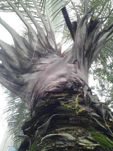 File:20120426 164032.jpg