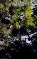 Thumbnail for version as of 00:35, 14 August 2017