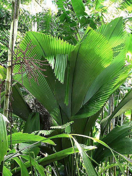 File:3621287551 bc9f0f93e4 b.jpg