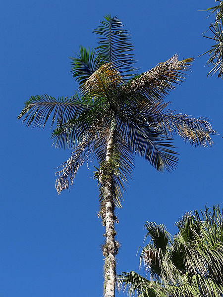 File:7317759084 7009f4f297 b.jpg