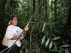 CdDSCF0072 1726 wai-seperaa(1).jpg