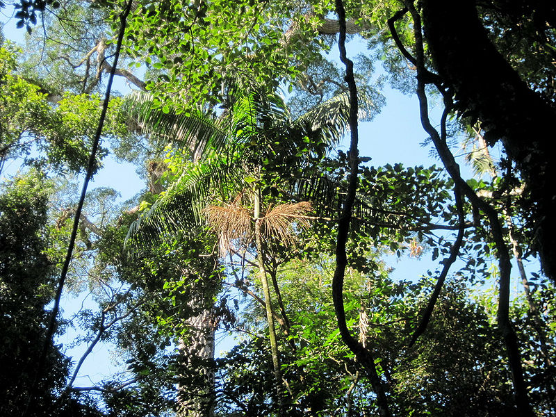 File:5794596437 83051305b9 b.jpg