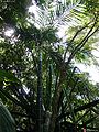 Thumbnail for version as of 08:48, 19 September 2012