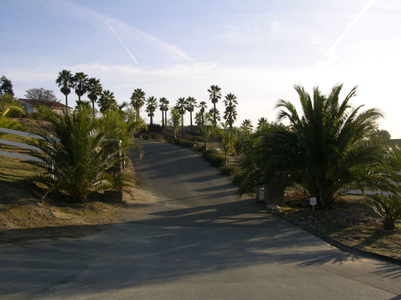 File:053mlc.JPG