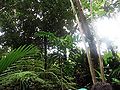 Thumbnail for version as of 23:04, 21 November 2014