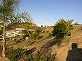 Thumbnail for version as of 14:22, 20 December 2009