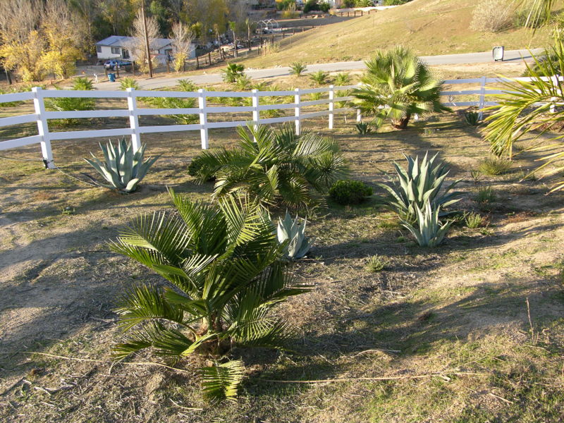 File:039mlc.JPG