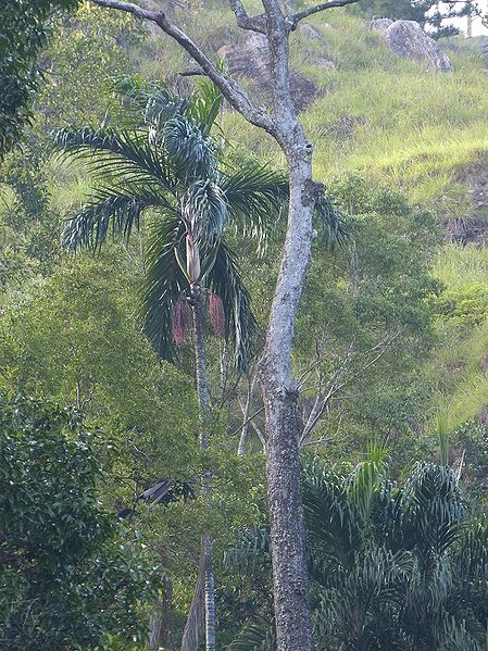 File:Post-6735-0-57558000-1388658406.jpg