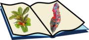 CrotonEnc.png