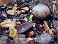 Thumbnail for version as of 00:10, 10 November 2017