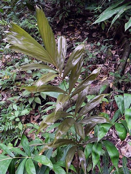 File:Post-747-1247033551.jpg