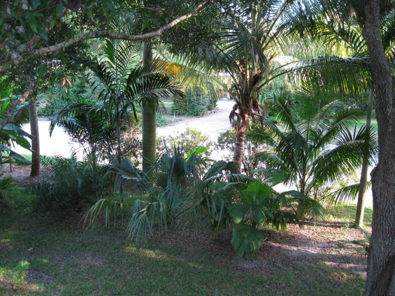 File:FontIMG 0031.JPG