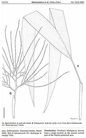 Dt0034228976.JPG
