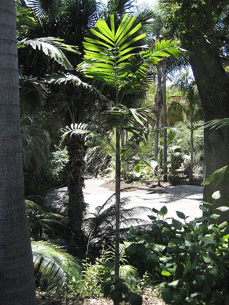 File:3521141800 3870e44657 o.jpg