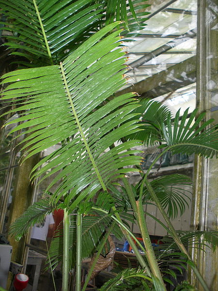 File:4193711783 e9355a0e9a o.jpg