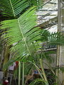 Thumbnail for version as of 10:02, 14 August 2012