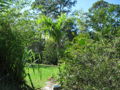 Thumbnail for version as of 08:50, 2 January 2010