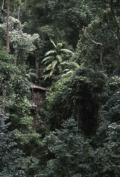File:Co2787812.jpg