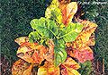 Thumbnail for version as of 16:15, 9 November 2014