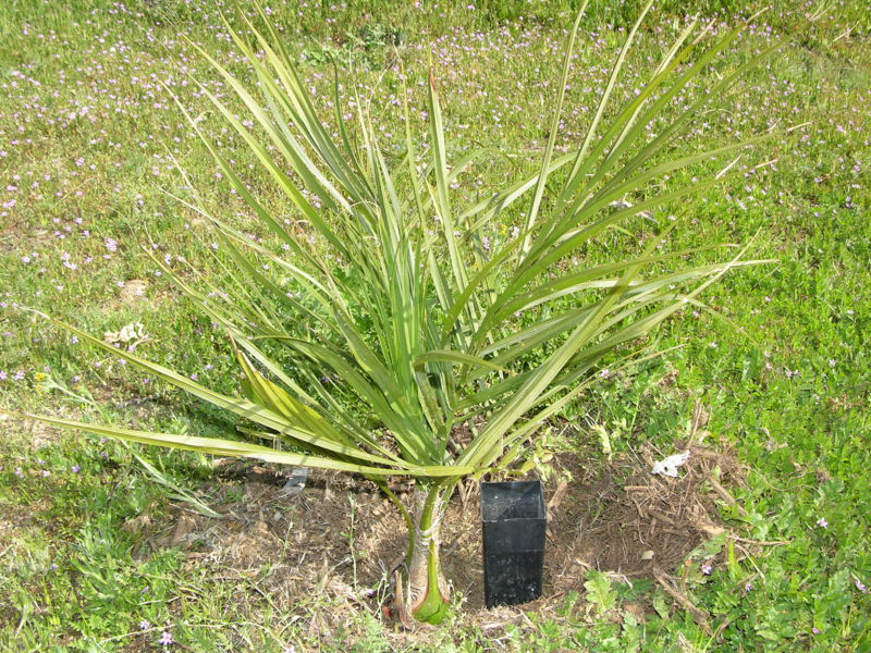 File:022mc.JPG