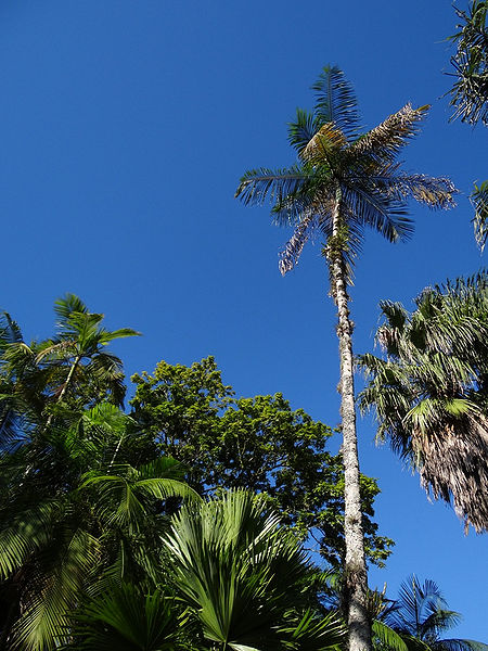 File:7317759372 c72f4bdfd4 b.jpg