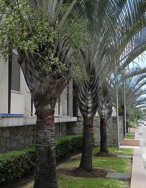 File:GBPIX photo 454754.jpg