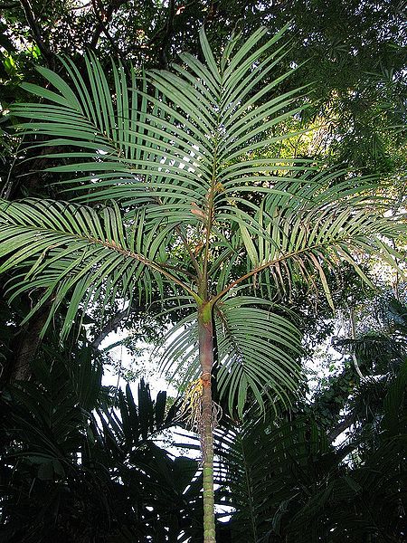 File:3820365646 3e47b1b3b5 b.jpg