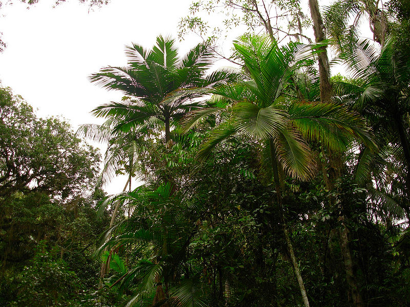 File:5212447273 76be73286f b.jpg