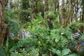 Thumbnail for version as of 20:19, 25 March 2008