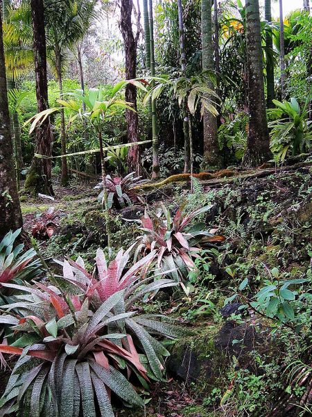 File:Post-279-094563600 1334612709.jpg