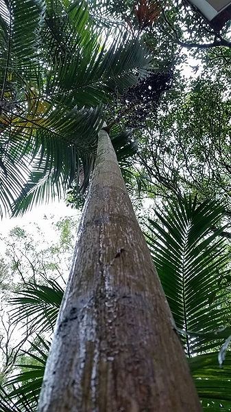 File:12167738 882892818461273 240460729 n.jpg.c0ee028ed92c395e89d1b1c684c242f3.jpg